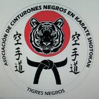 Home tigres negros